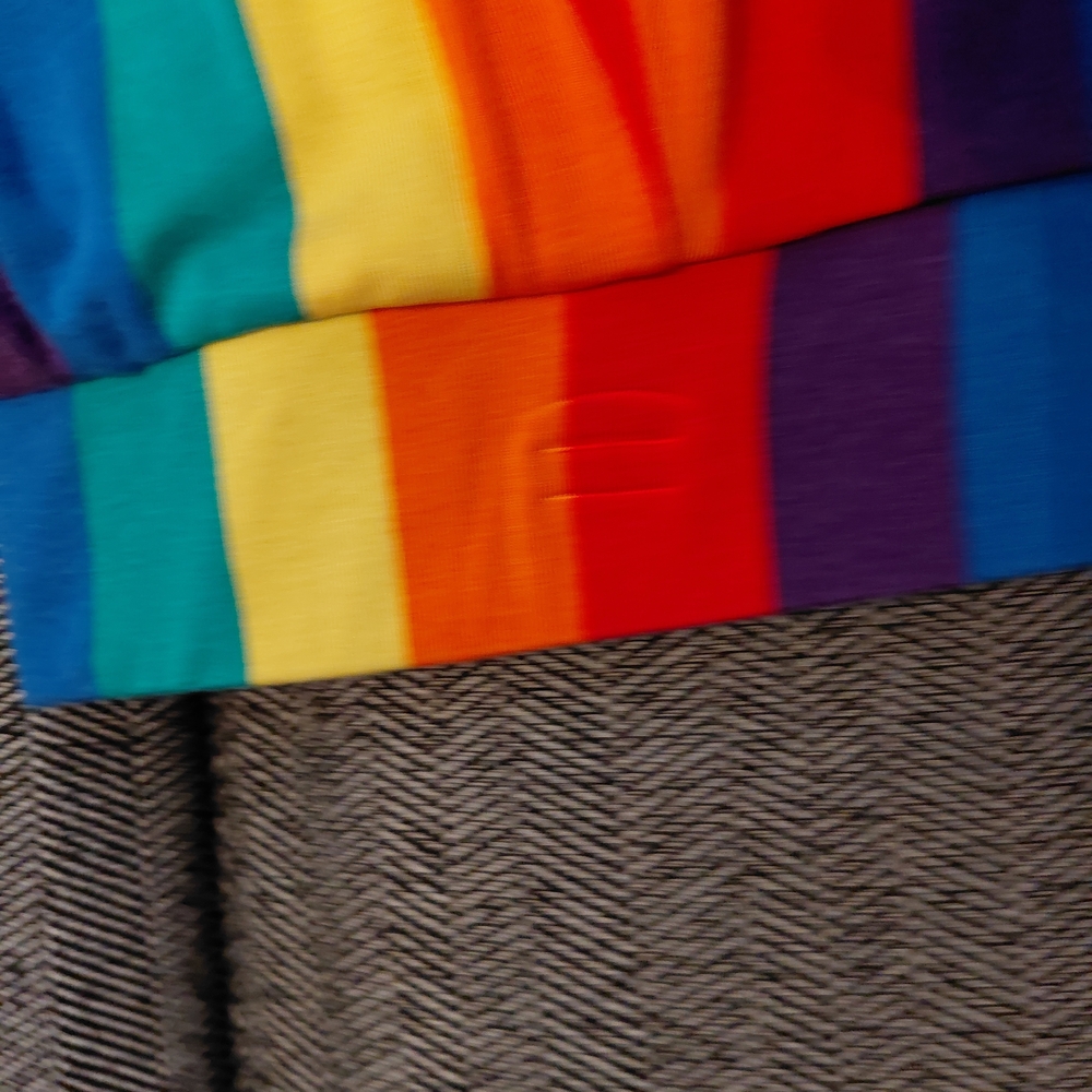 Torrid Rainbow Pride Striped Super Soft Knit Skirt, Shorts, Skort with pockets - Picture 15 of 16